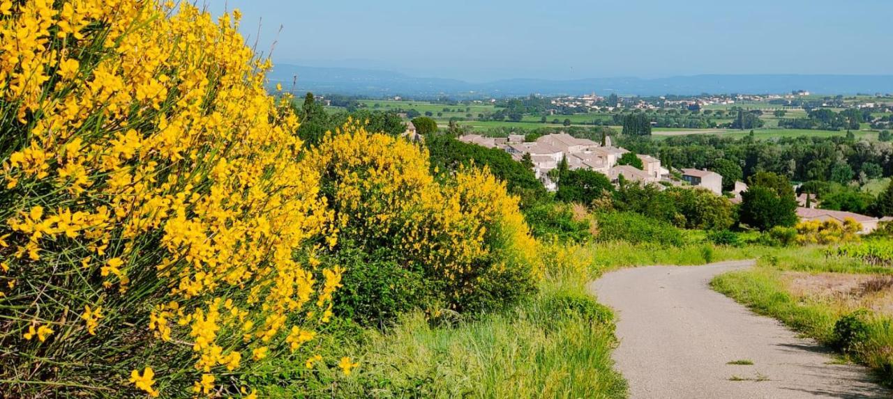 Maison De Village En Provence Avec Terrasse De 33M2 Saint-Roman-de-Malegarde 외부 사진